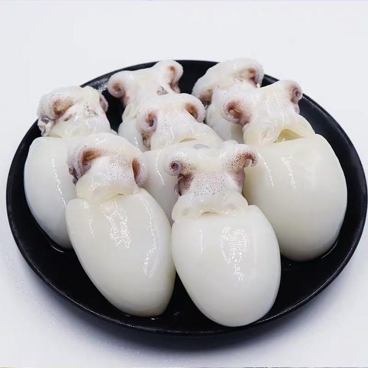 北部湾天然墨鱼仔